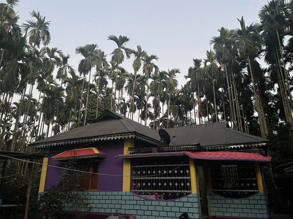 Ankits House 1024x768