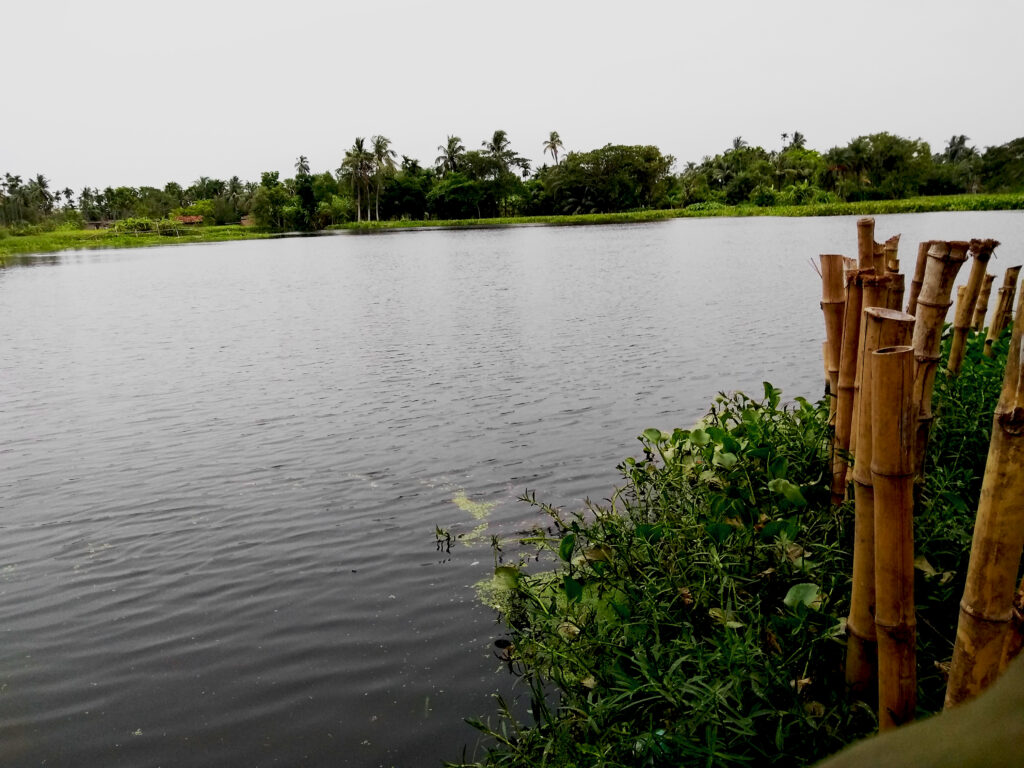 IMG 20190602 170857196 1024x768