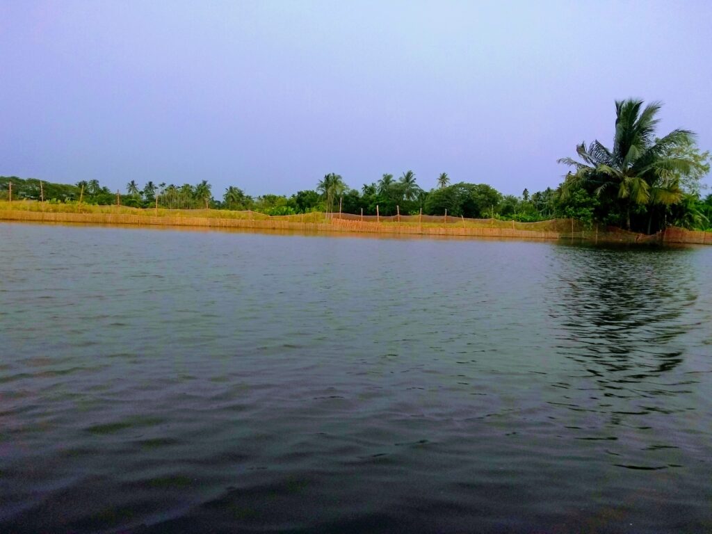 IMG 20190602 173701924 1024x768