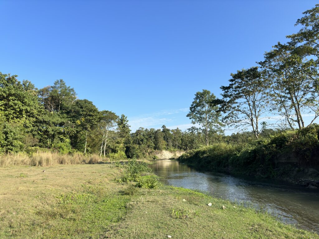 Revier Behind 01 1024x768